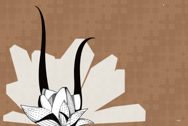 Illustration personnelle